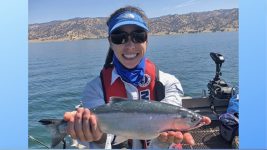 1.53 Million Inland Salmon Released to Enhance Recreational Fishing