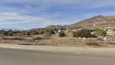 Adult Human Bone Found During Site Survey In Highland; Specialized Detectives Investigating