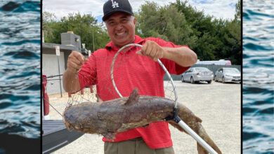Monster 30-Pound Catfish Caught At Hesperia Lake Park, Legendary "Catzilla" Still Lurks